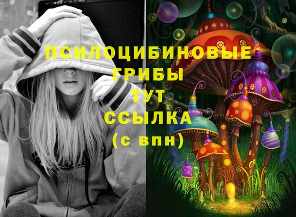 каннабис Беломорск
