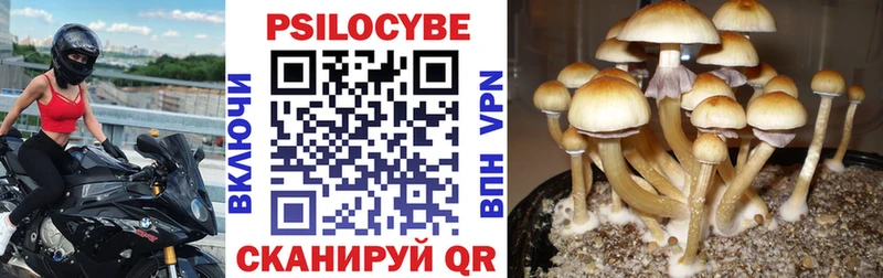 как найти закладки мега ONION Псилоцибиновые грибы Cubensis Зарайск